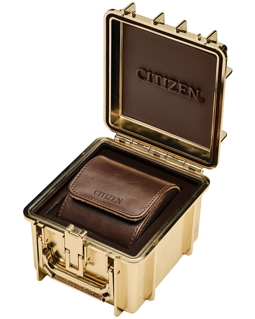Citizen promaster discount box